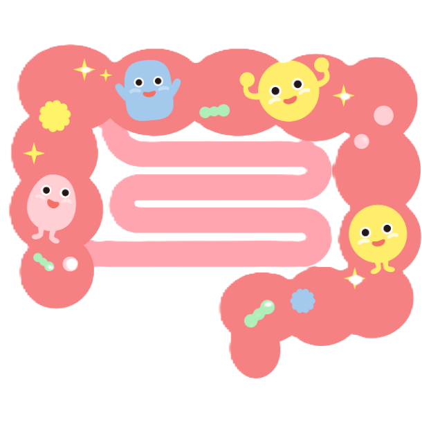 腸内環境改善